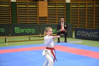 Landesmeisterschaft 2026